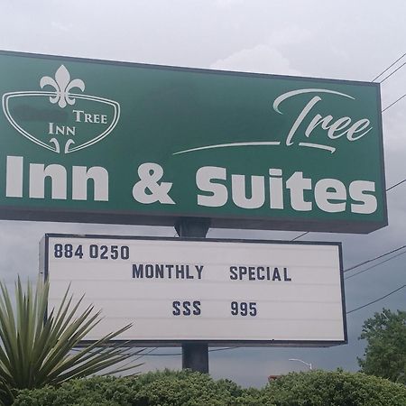 Tree Inn & Suites Albuquerque Eksteriør bilde