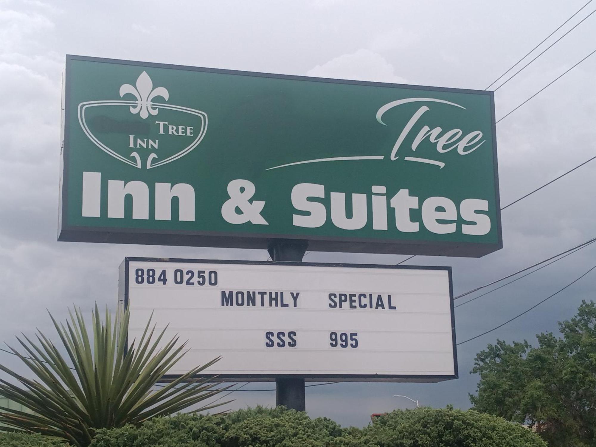 Tree Inn & Suites Albuquerque Eksteriør bilde